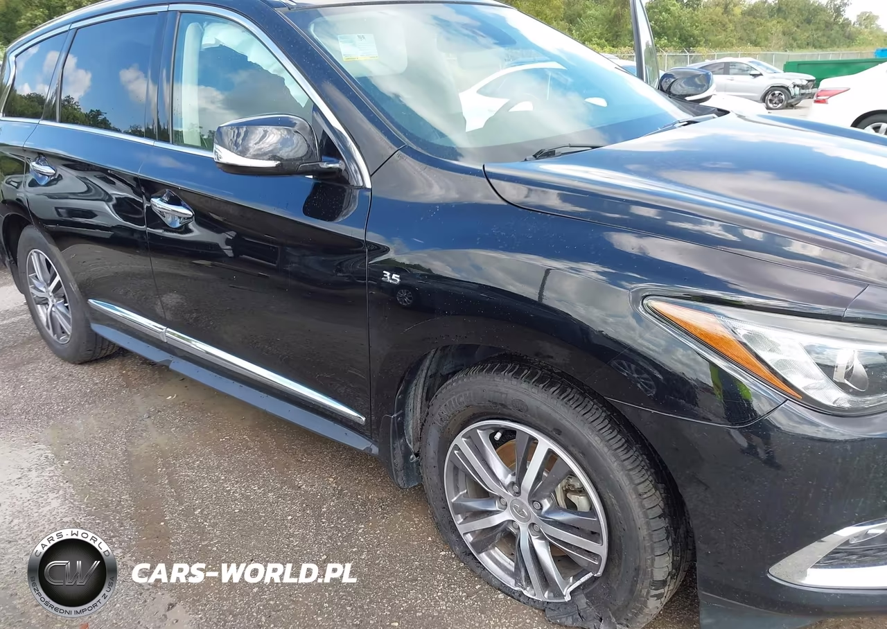 2020 Infiniti Qx60 Pure VIN:5N1DL0MN0LC537674 - 6