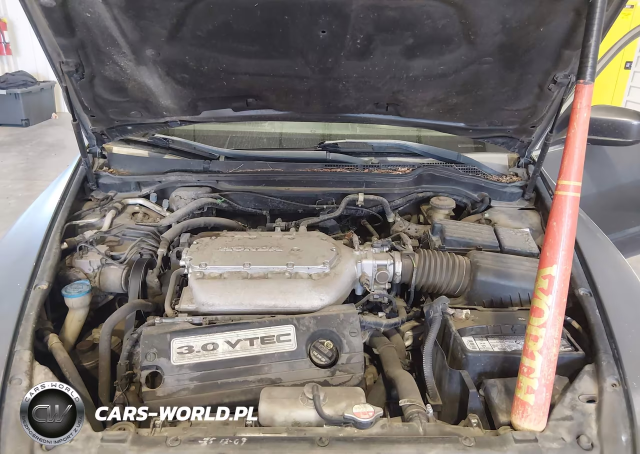 2006 Honda Accord 3.0 Lx VIN:1HGCM66306A029881 - 10