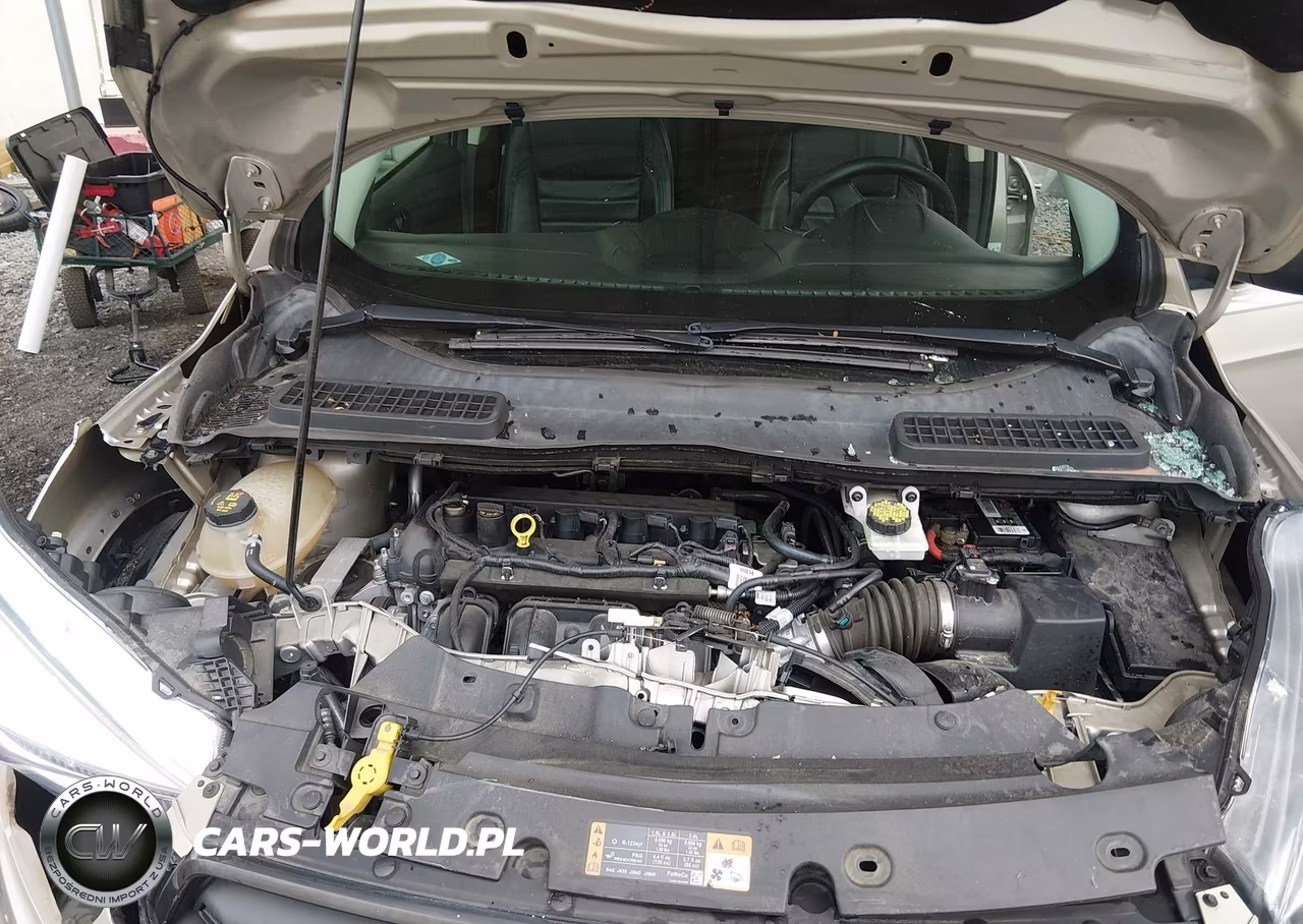 2017 Ford Escape S VIN:1FMCU0F71HUB12117 - 10