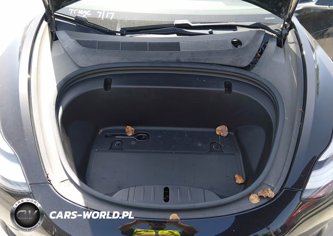 2020 Tesla Model 3 Standard Range Plus Rear-Wheel Drive-Standard Range Rear-Wheel Drive VIN:5YJ3E1EA1LF427537 - 10