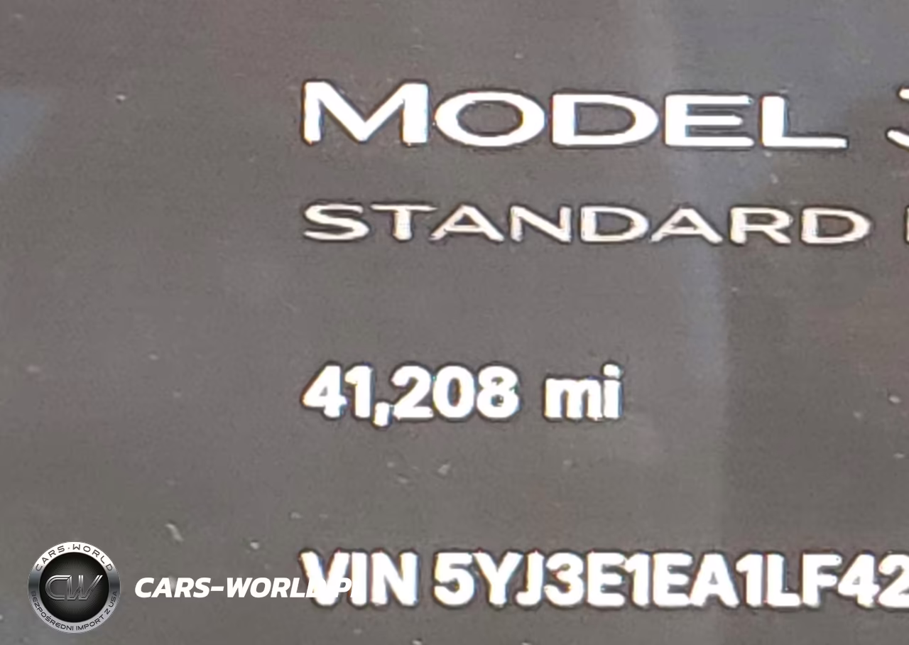 2020 Tesla Model 3 Standard Range Plus Rear-Wheel Drive-Standard Range Rear-Wheel Drive VIN:5YJ3E1EA1LF427537 - 15