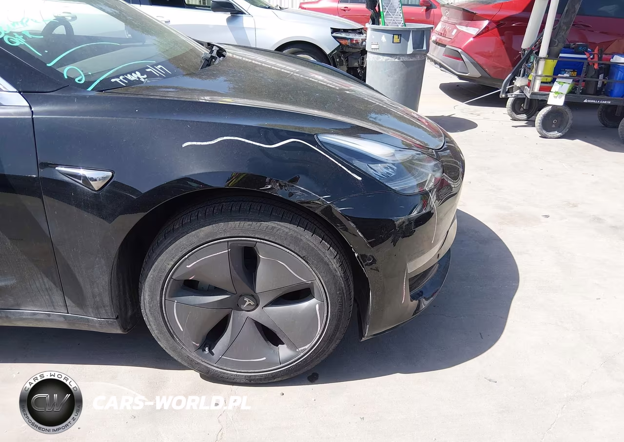 2020 Tesla Model 3 Standard Range Plus Rear-Wheel Drive-Standard Range Rear-Wheel Drive VIN:5YJ3E1EA1LF427537 - 19