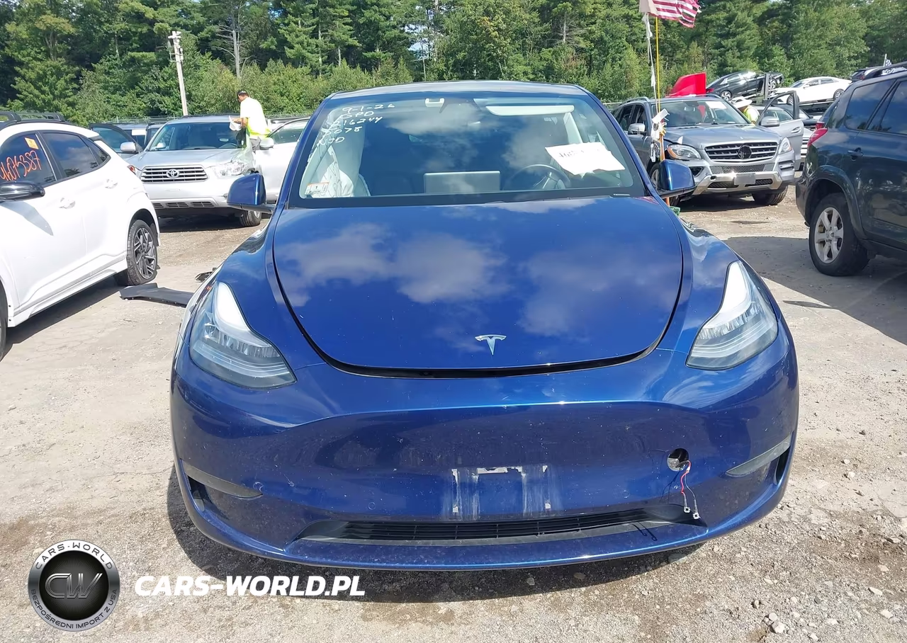 2020 Tesla Model Y Long Range Dual Motor All-Wheel Drive VIN:5YJYGDEE1LF035078 - 12