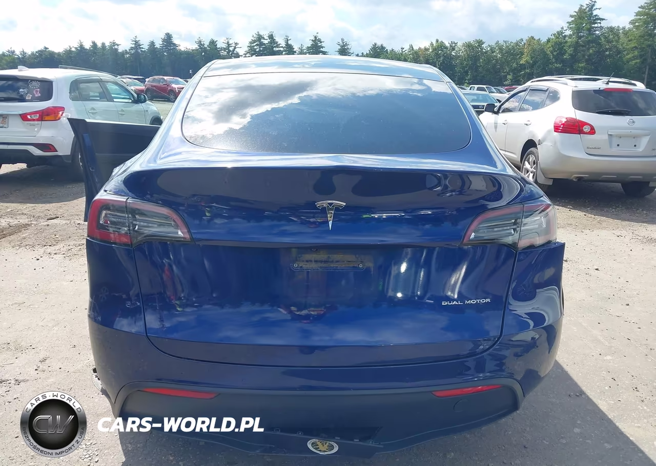 2020 Tesla Model Y Long Range Dual Motor All-Wheel Drive VIN:5YJYGDEE1LF035078 - 19