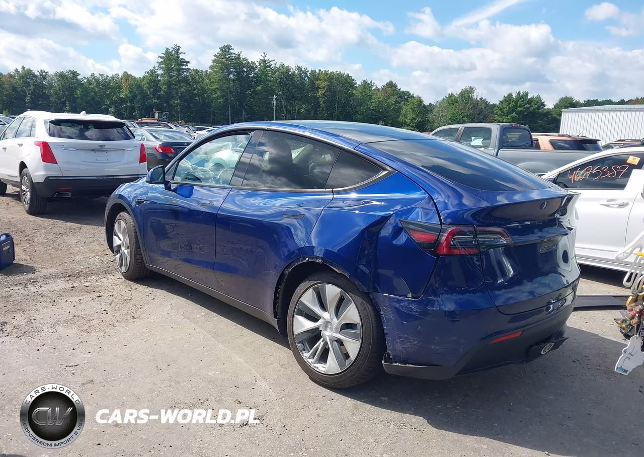 2020 Tesla Model Y Long Range Dual Motor All-Wheel Drive VIN:5YJYGDEE1LF035078 - 3