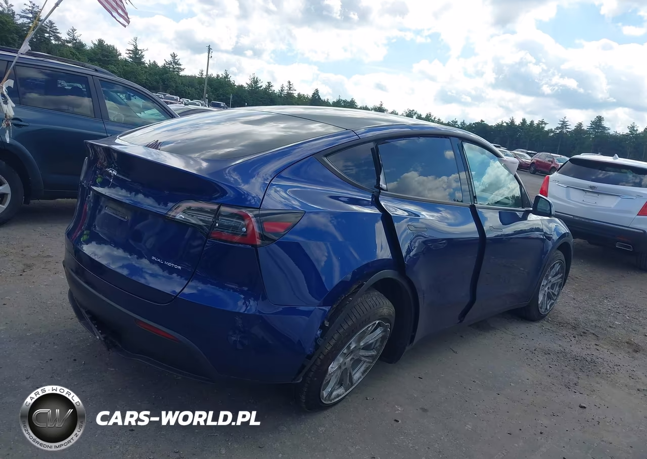 2020 Tesla Model Y Long Range Dual Motor All-Wheel Drive VIN:5YJYGDEE1LF035078 - 4