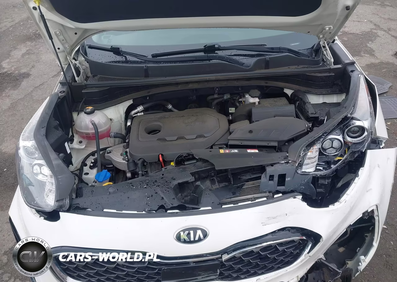 2022 Kia Sportage Ex VIN:KNDPNCAC0N7981844 - 10