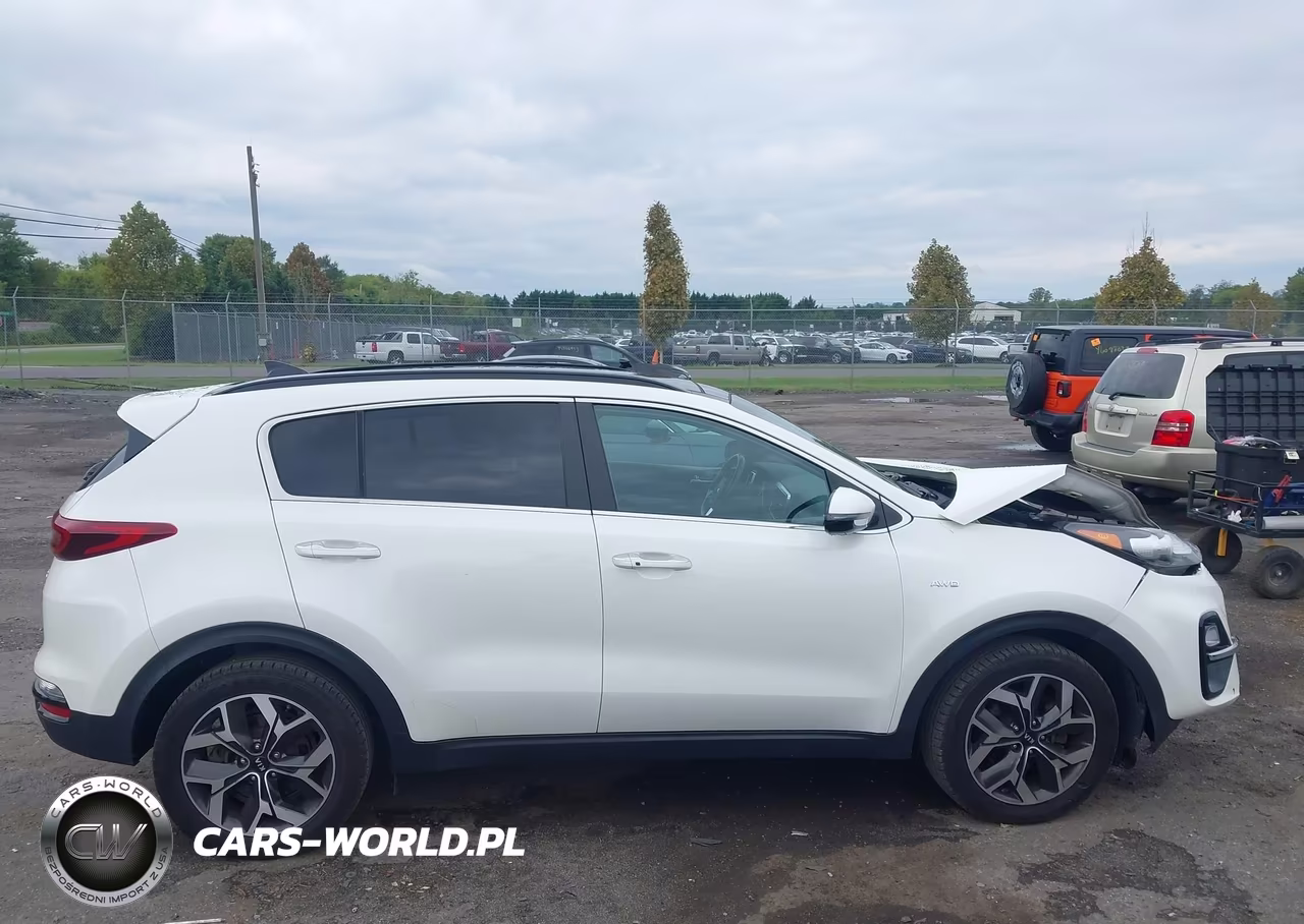 2022 Kia Sportage Ex VIN:KNDPNCAC0N7981844 - 13