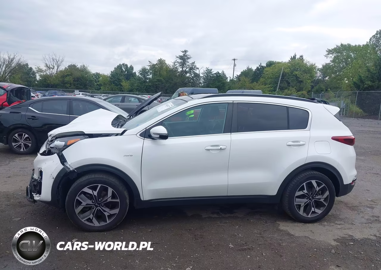 2022 Kia Sportage Ex VIN:KNDPNCAC0N7981844 - 14