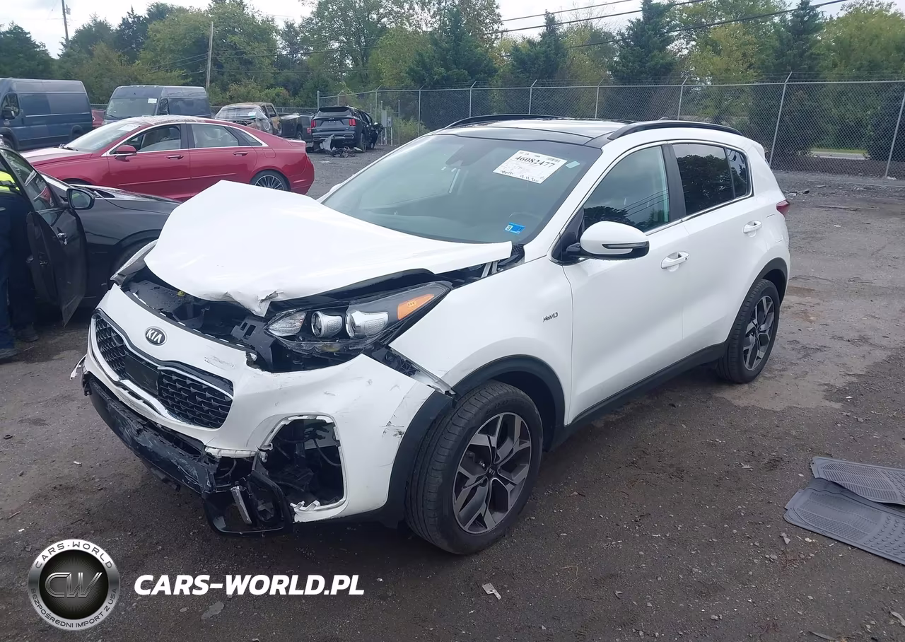 2022 Kia Sportage Ex VIN:KNDPNCAC0N7981844 - 2