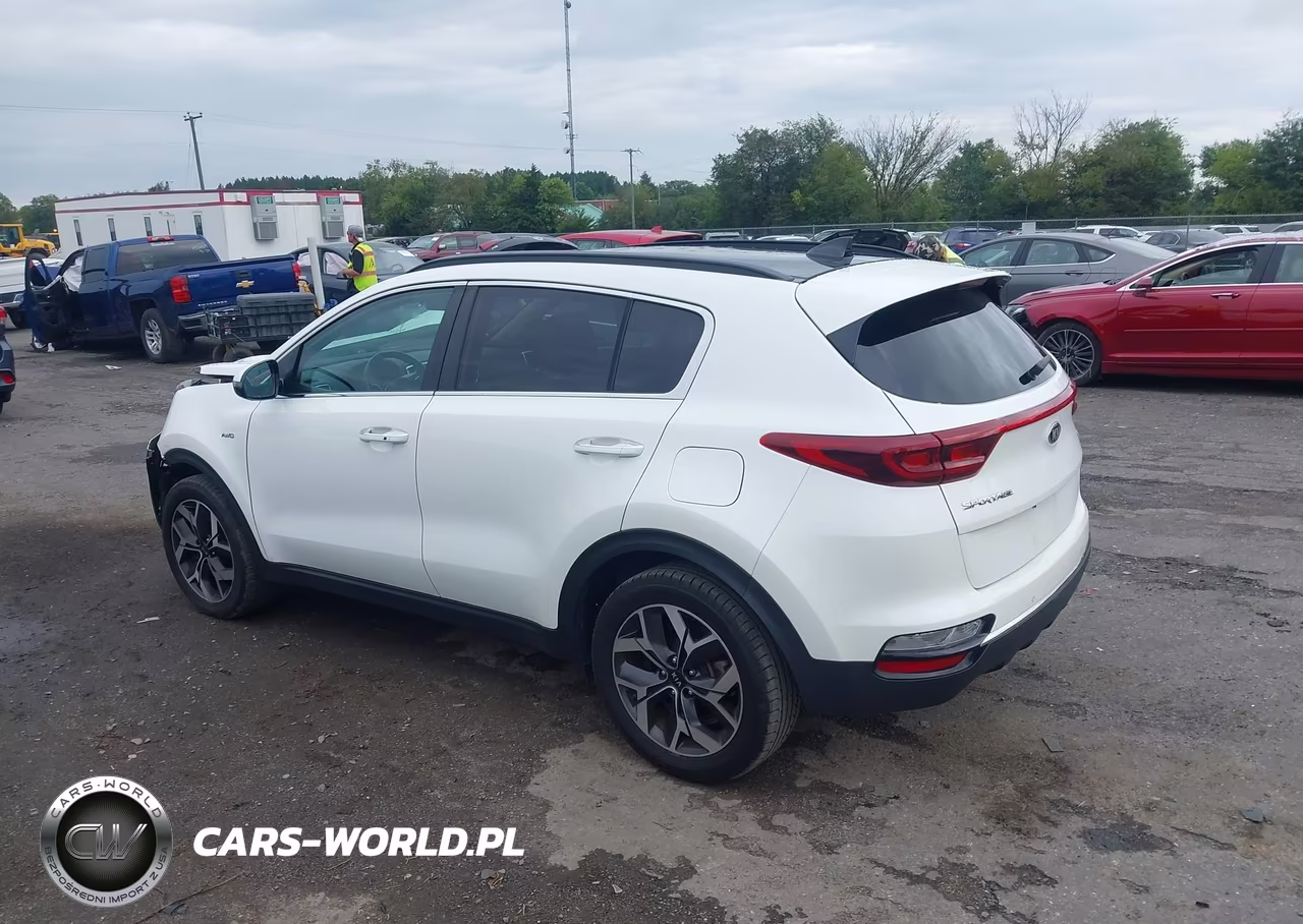 2022 Kia Sportage Ex VIN:KNDPNCAC0N7981844 - 3