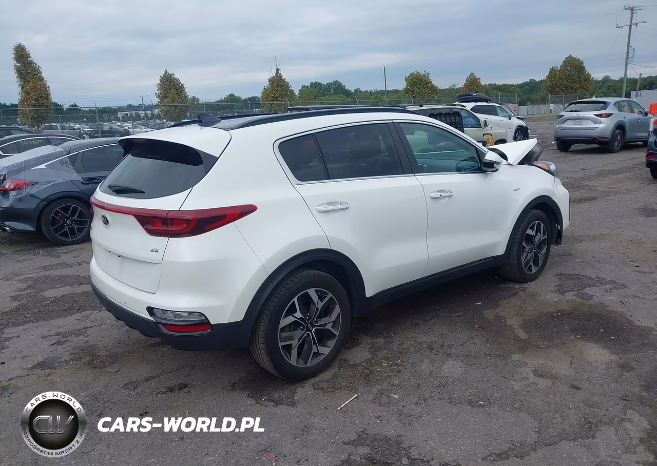 2022 Kia Sportage Ex VIN:KNDPNCAC0N7981844 - 4