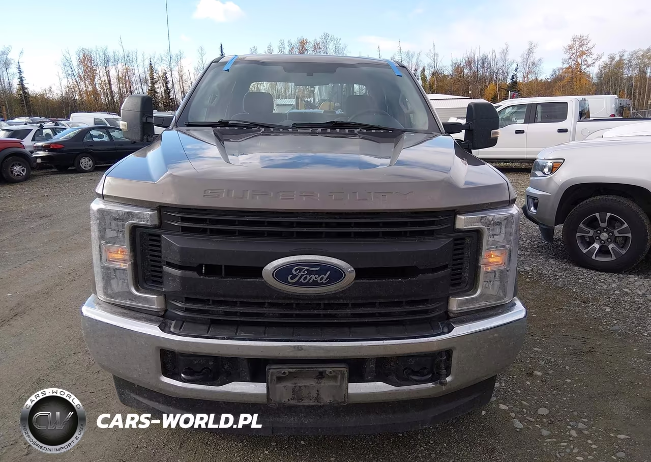 2019 Ford F-250 Xl VIN:1FT7W2B69KEF24523 - 12