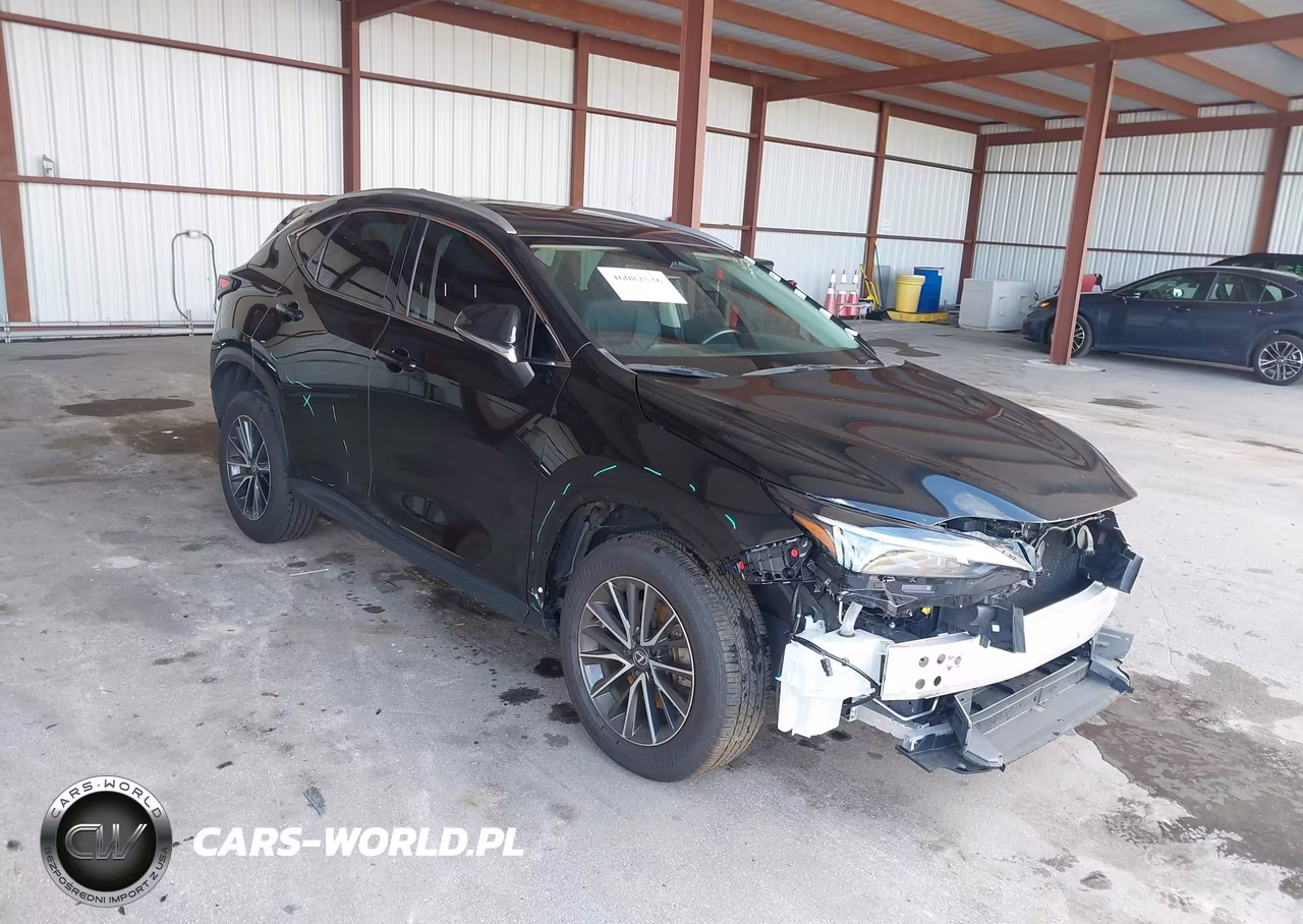 2025 Lexus Nx 250 VIN:2T2ADCAZ5SC022362 - 1