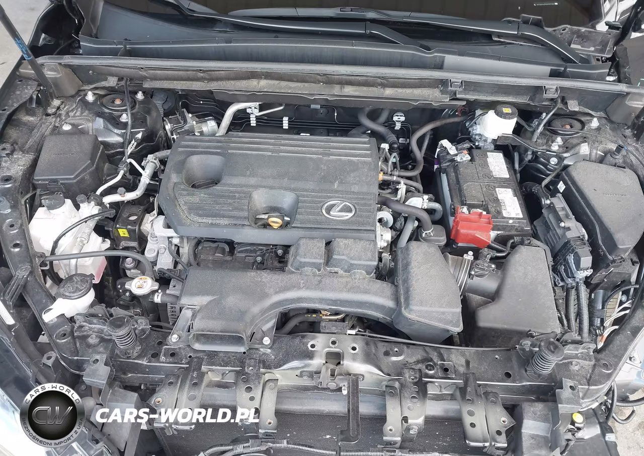 2025 Lexus Nx 250 VIN:2T2ADCAZ5SC022362 - 10