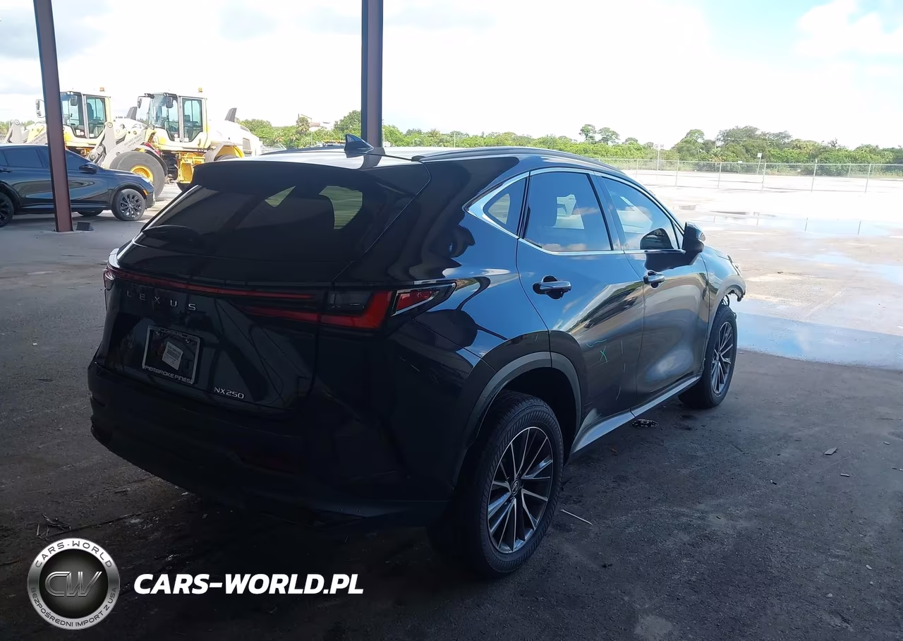 2025 Lexus Nx 250 VIN:2T2ADCAZ5SC022362 - 4