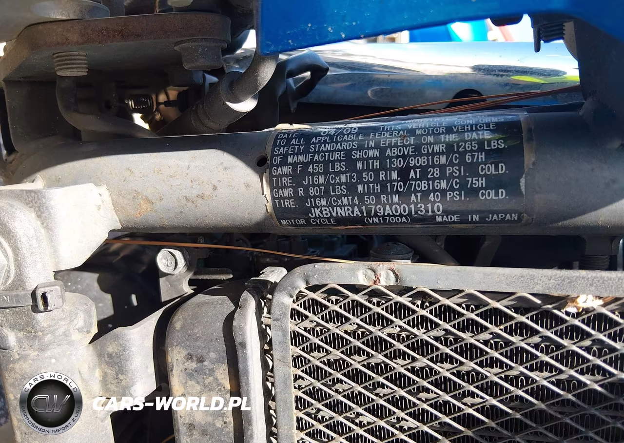2009 Kawasaki Vn1700 A VIN:JKBVNRA179A001310 - 10