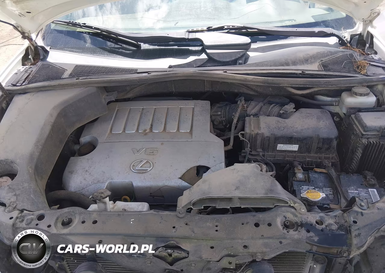 2009 Lexus Rx 350 VIN:2T2GK31U69C074632 - 10