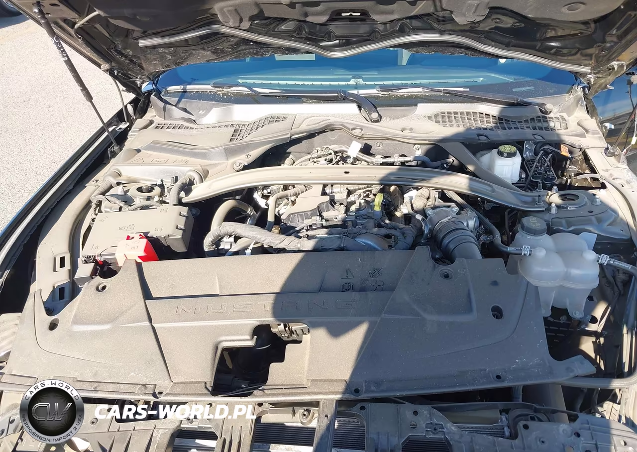 2026 Ford Mustang Ecoboost VIN:1FAGP8UH4T5100933 - 10
