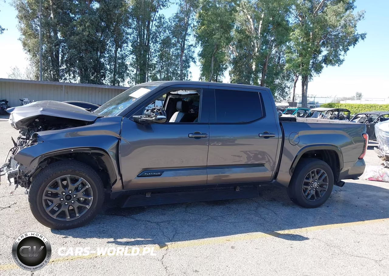 2023 Toyota Tundra 4Wd Platinum VIN:5TFNA5DB8PX122070 - 16