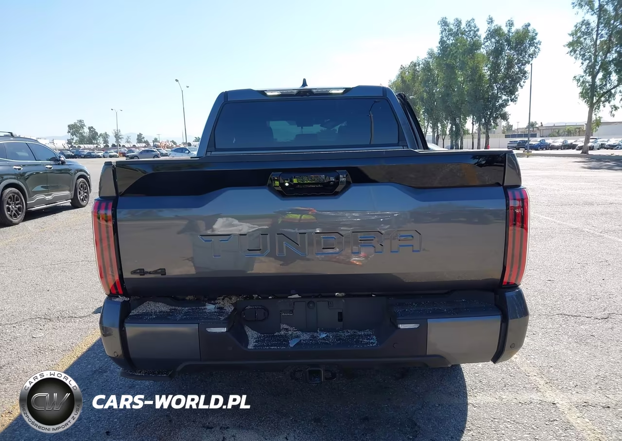 2023 Toyota Tundra 4Wd Platinum VIN:5TFNA5DB8PX122070 - 18