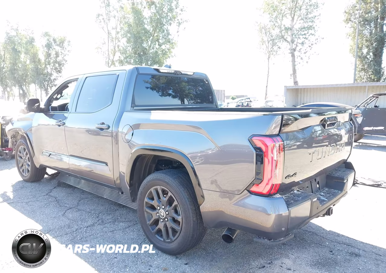 2023 Toyota Tundra 4Wd Platinum VIN:5TFNA5DB8PX122070 - 3