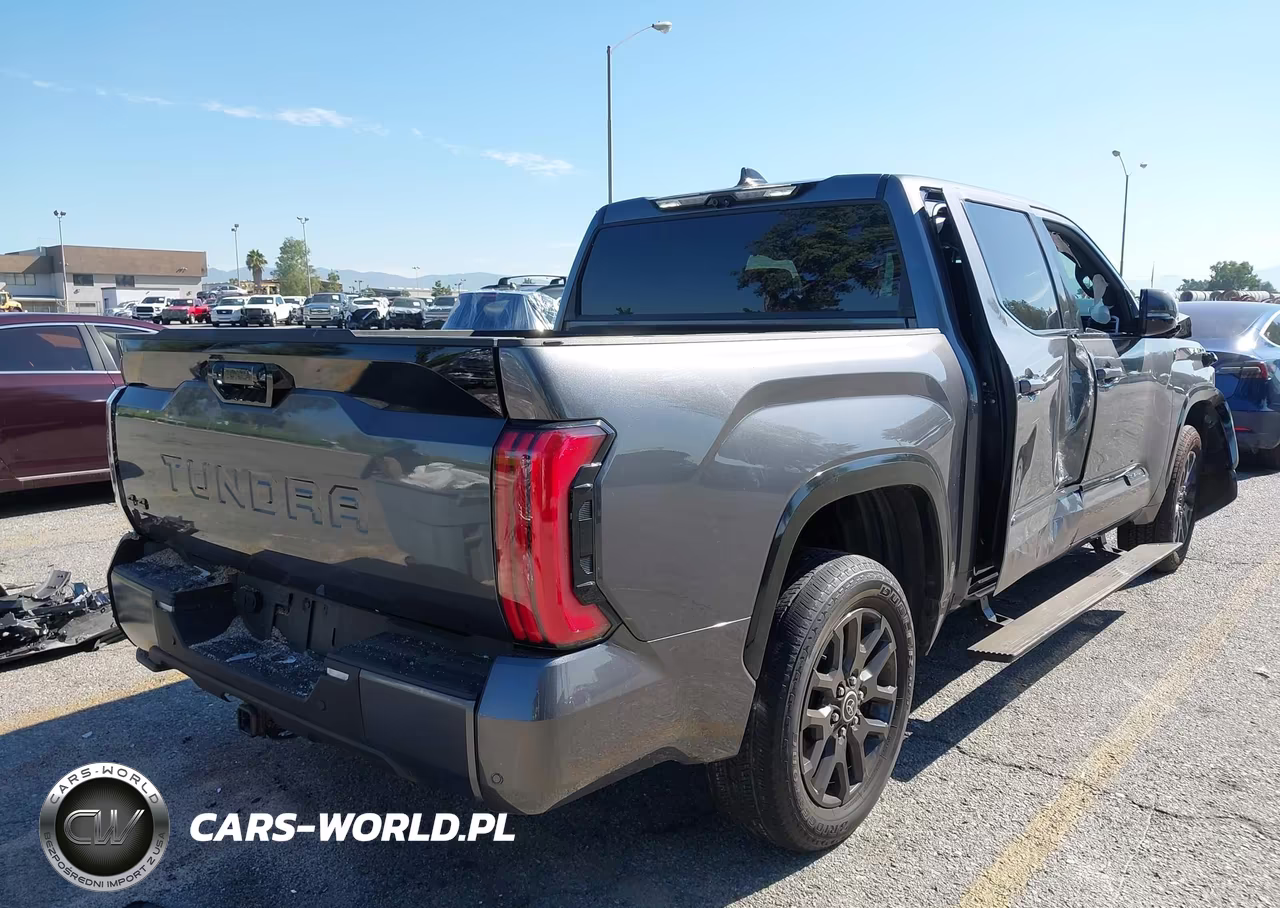 2023 Toyota Tundra 4Wd Platinum VIN:5TFNA5DB8PX122070 - 4