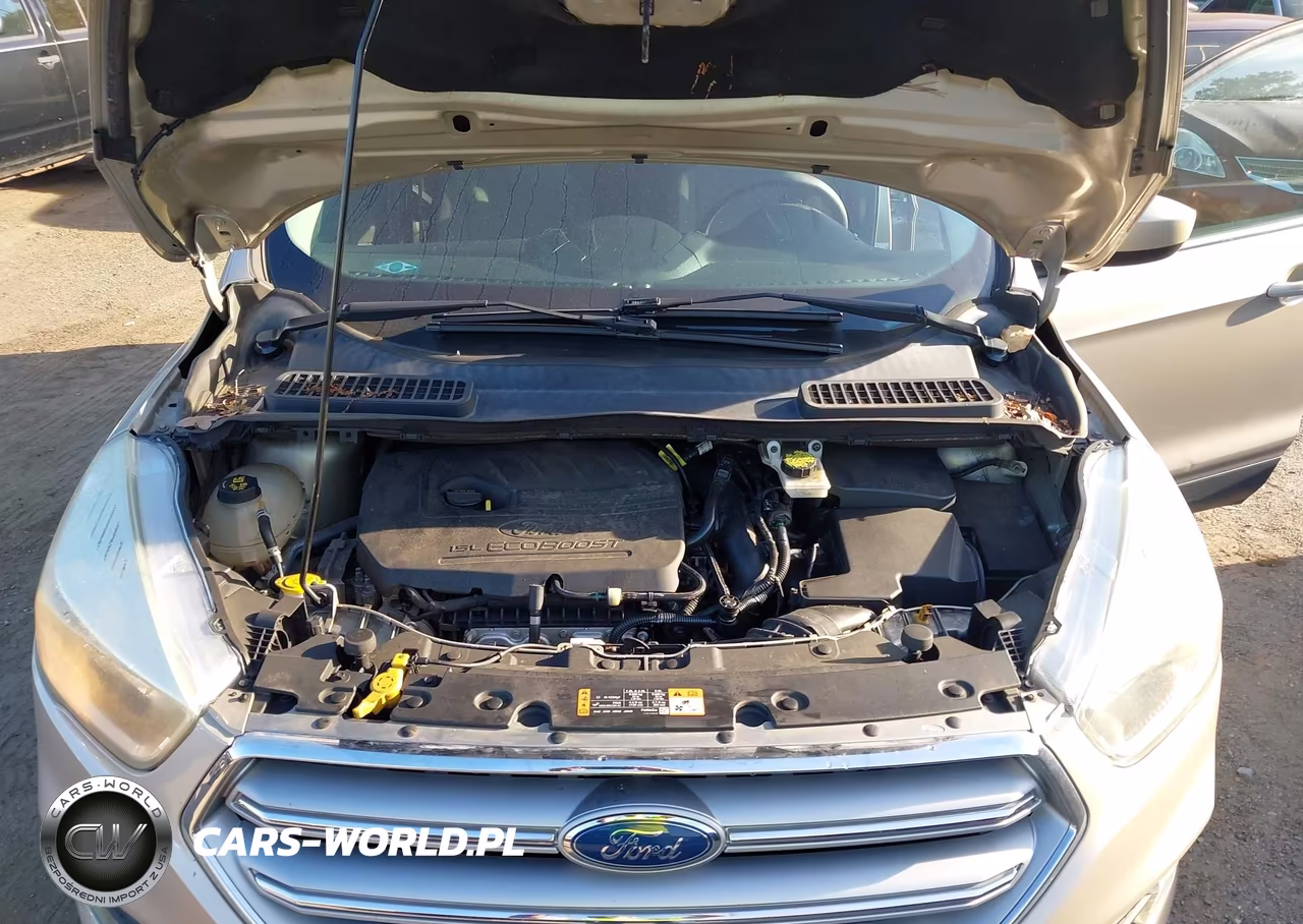 2017 Ford Escape Se VIN:1FMCU0GD0HUC41843 - 10