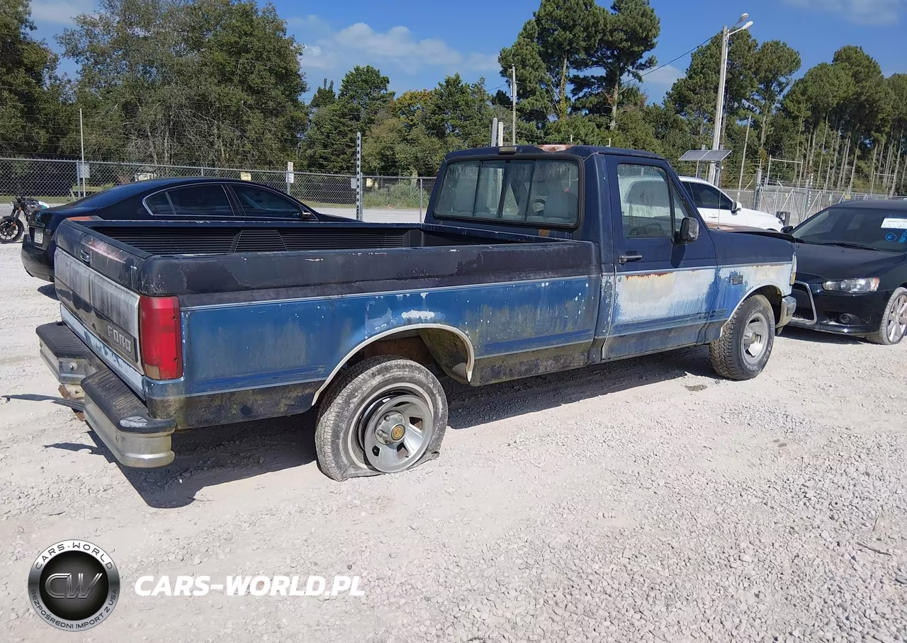 1992 Ford F150 VIN:1FTDF15N1NNA52256 - 4
