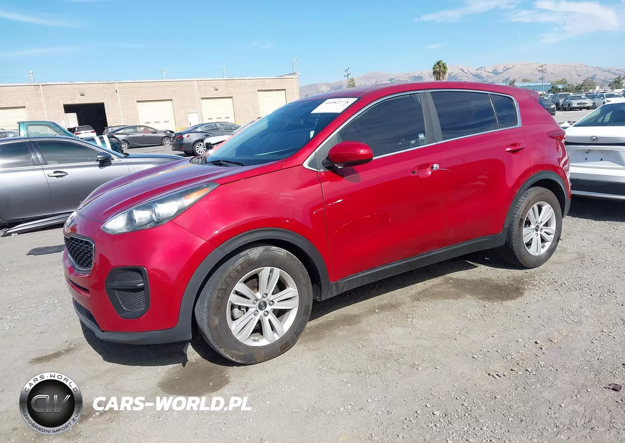 2019 Kia Sportage Lx VIN:KNDPM3AC3K7514139 - 2