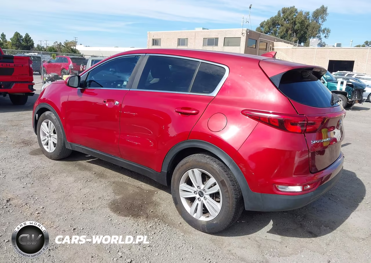 2019 Kia Sportage Lx VIN:KNDPM3AC3K7514139 - 3