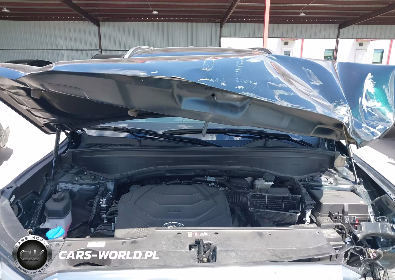 2025 Hyundai Palisade Calligraphy VIN:KM8R74GE3SU930980 - 10