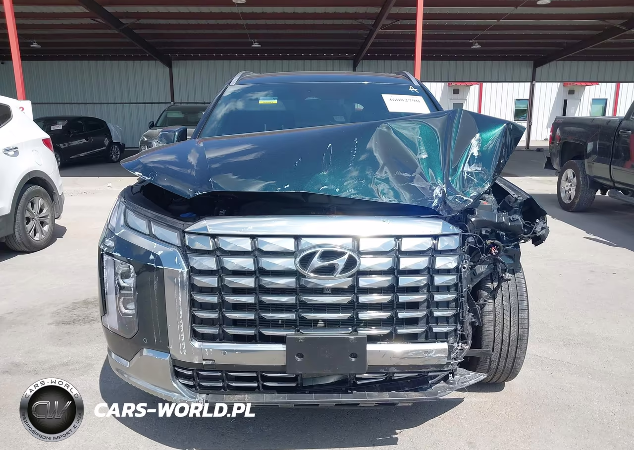 2025 Hyundai Palisade Calligraphy VIN:KM8R74GE3SU930980 - 13