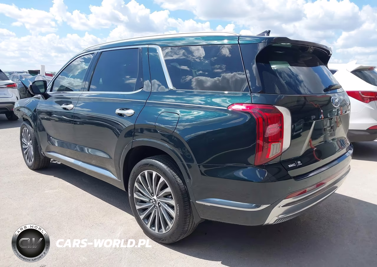 2025 Hyundai Palisade Calligraphy VIN:KM8R74GE3SU930980 - 3