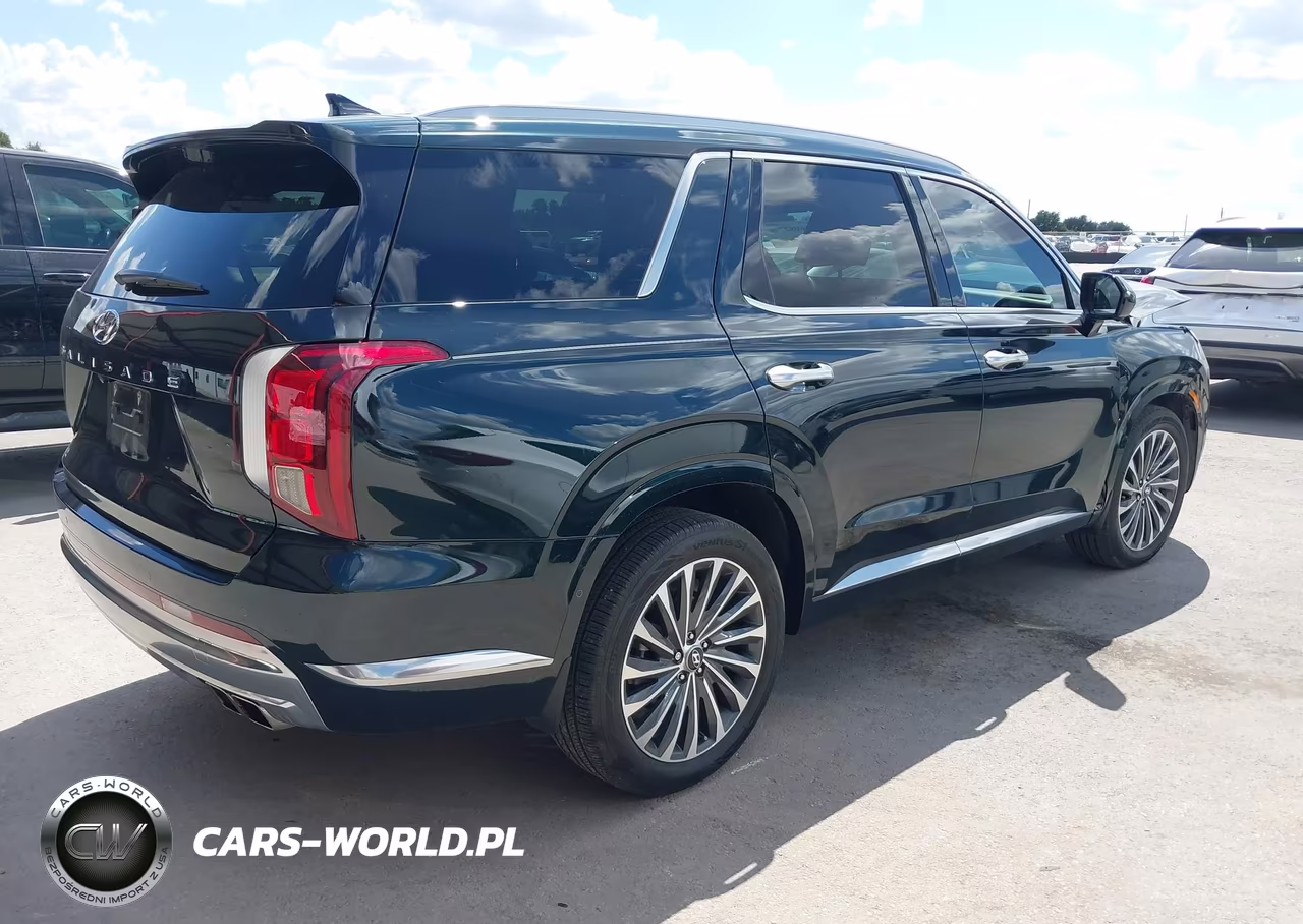 2025 Hyundai Palisade Calligraphy VIN:KM8R74GE3SU930980 - 4