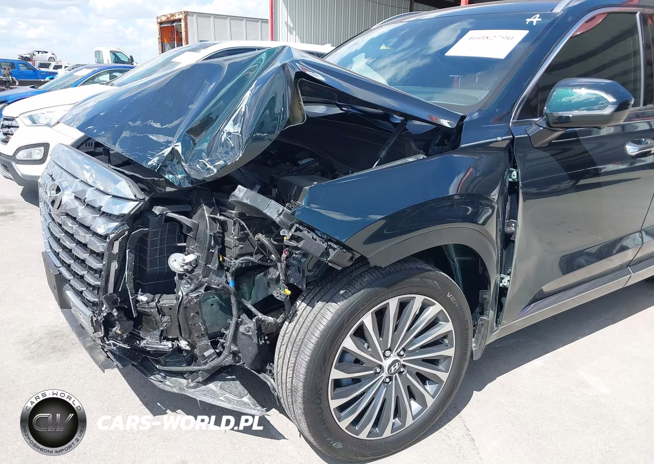 2025 Hyundai Palisade Calligraphy VIN:KM8R74GE3SU930980 - 6