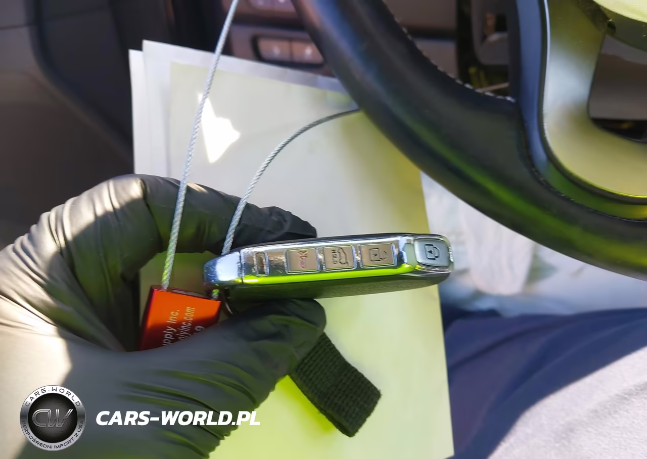 2021 Kia Niro Ev Ex VIN:KNDCC3LG8M5105361 - 11