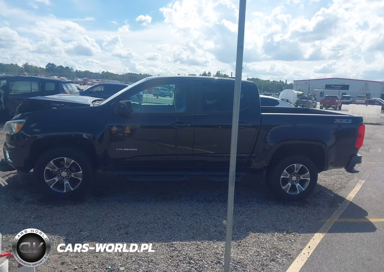 2019 Chevrolet Colorado Z71 VIN:1GCGTDEN4K1232972 - 14