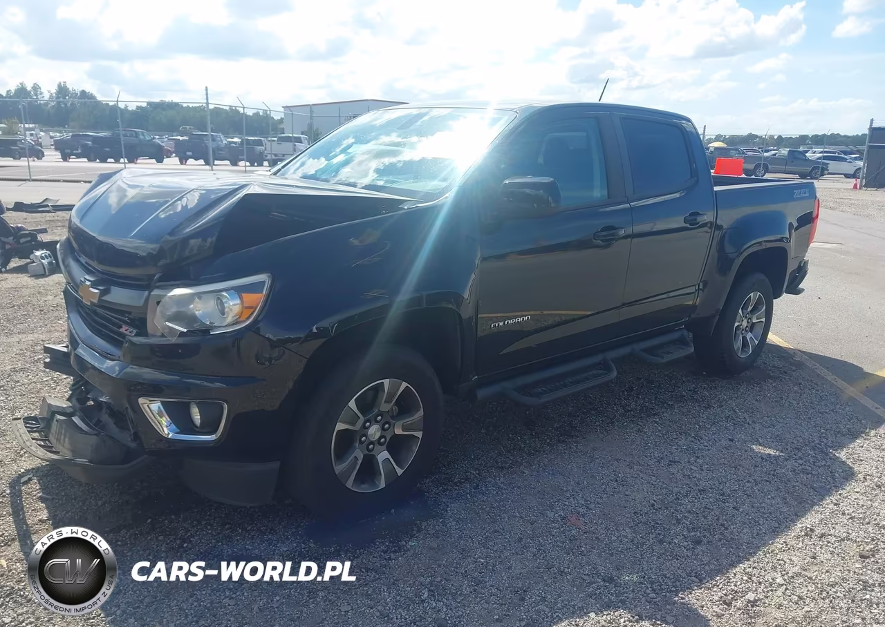 2019 Chevrolet Colorado Z71 VIN:1GCGTDEN4K1232972 - 2