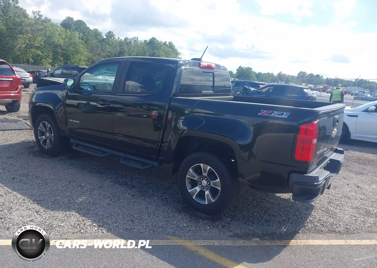 2019 Chevrolet Colorado Z71 VIN:1GCGTDEN4K1232972 - 3