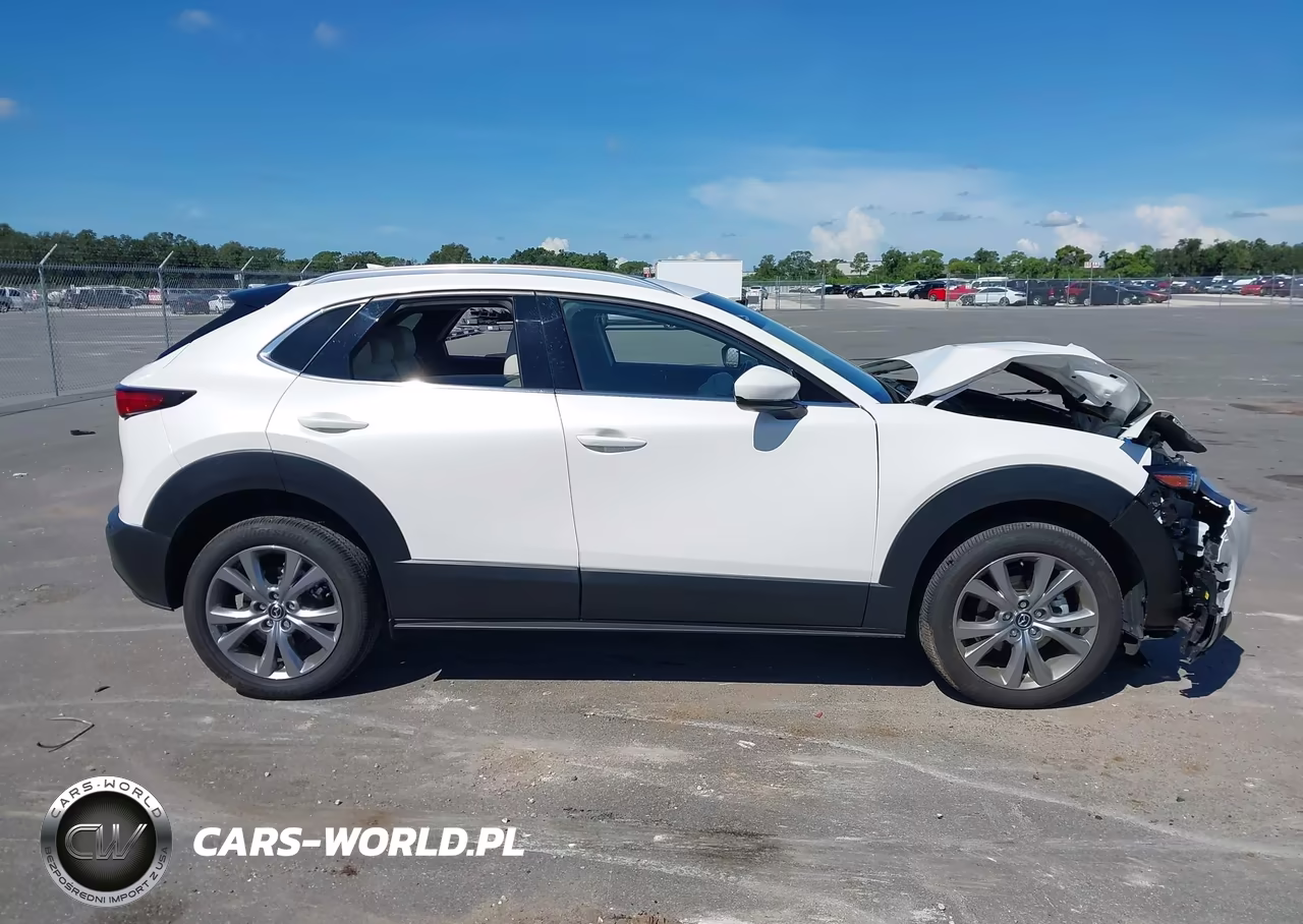 2024 Mazda Cx-30 2.5 S Premium Package VIN:3MVDMBDM7RM677408 - 13