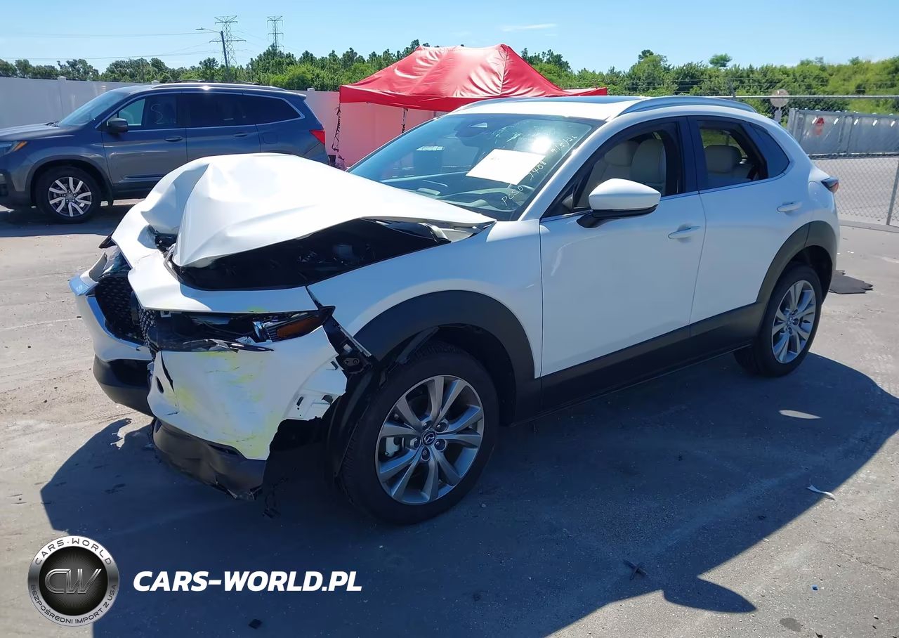 2024 Mazda Cx-30 2.5 S Premium Package VIN:3MVDMBDM7RM677408 - 2