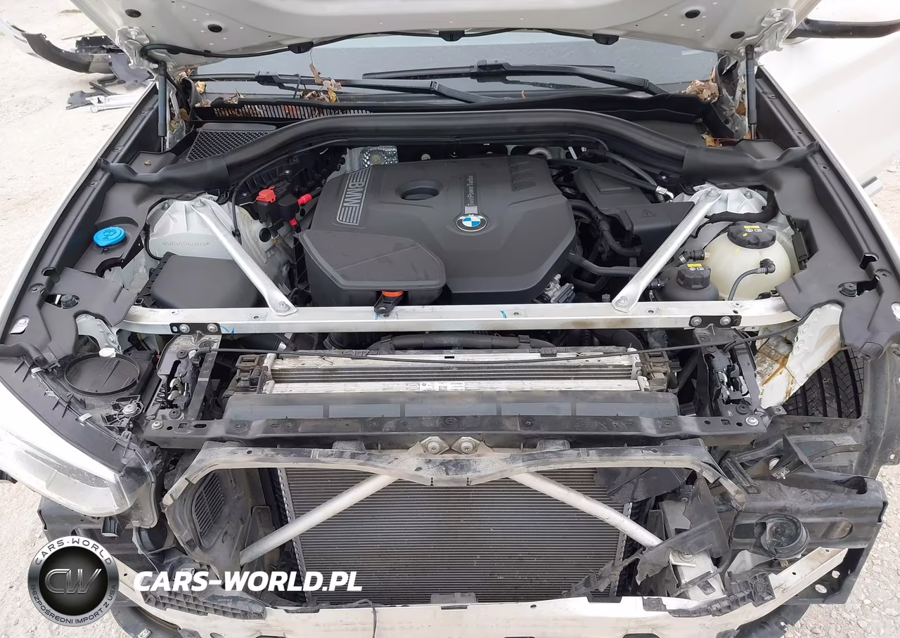 2019 BMW X3 Sdrive30I VIN:5UXTR7C53KLE88334 - 10