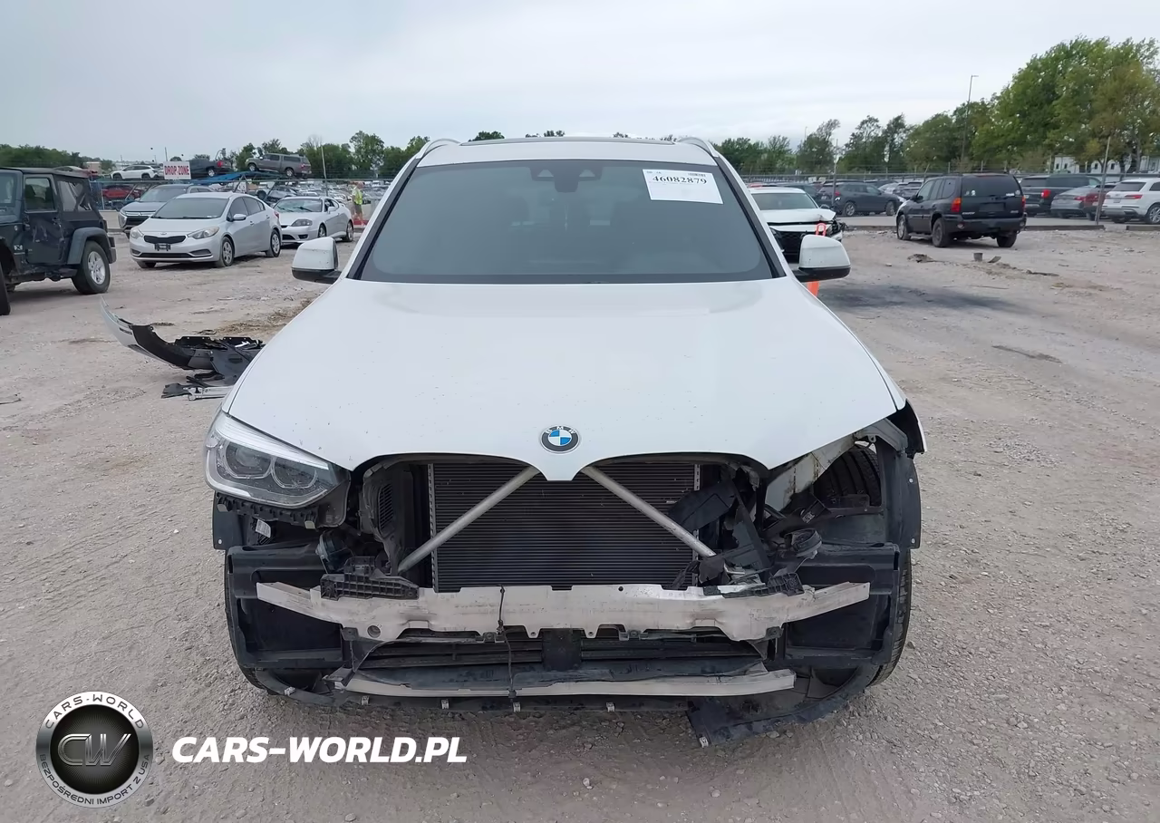 2019 BMW X3 Sdrive30I VIN:5UXTR7C53KLE88334 - 13