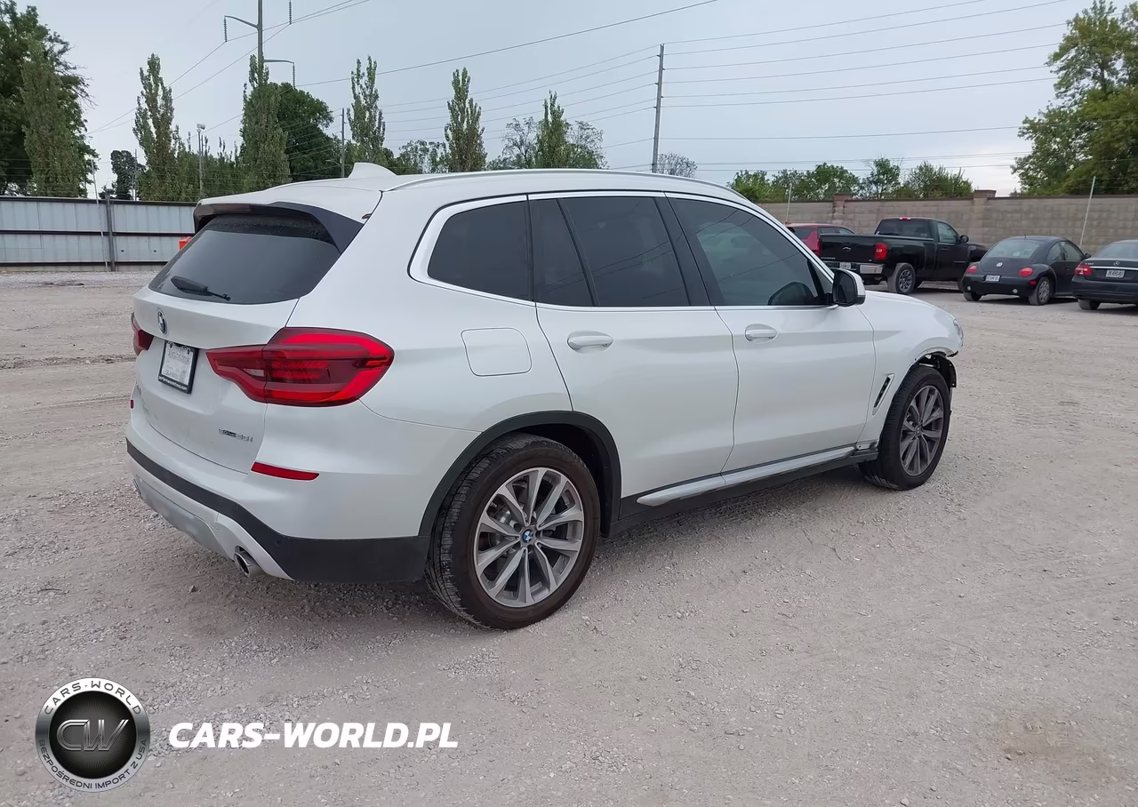 2019 BMW X3 Sdrive30I VIN:5UXTR7C53KLE88334 - 4