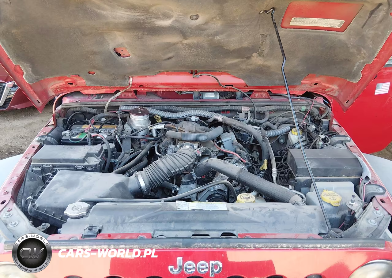 2009 Jeep Wrangler Unlimited Rubicon VIN:1J4GA691X9L757701 - 10