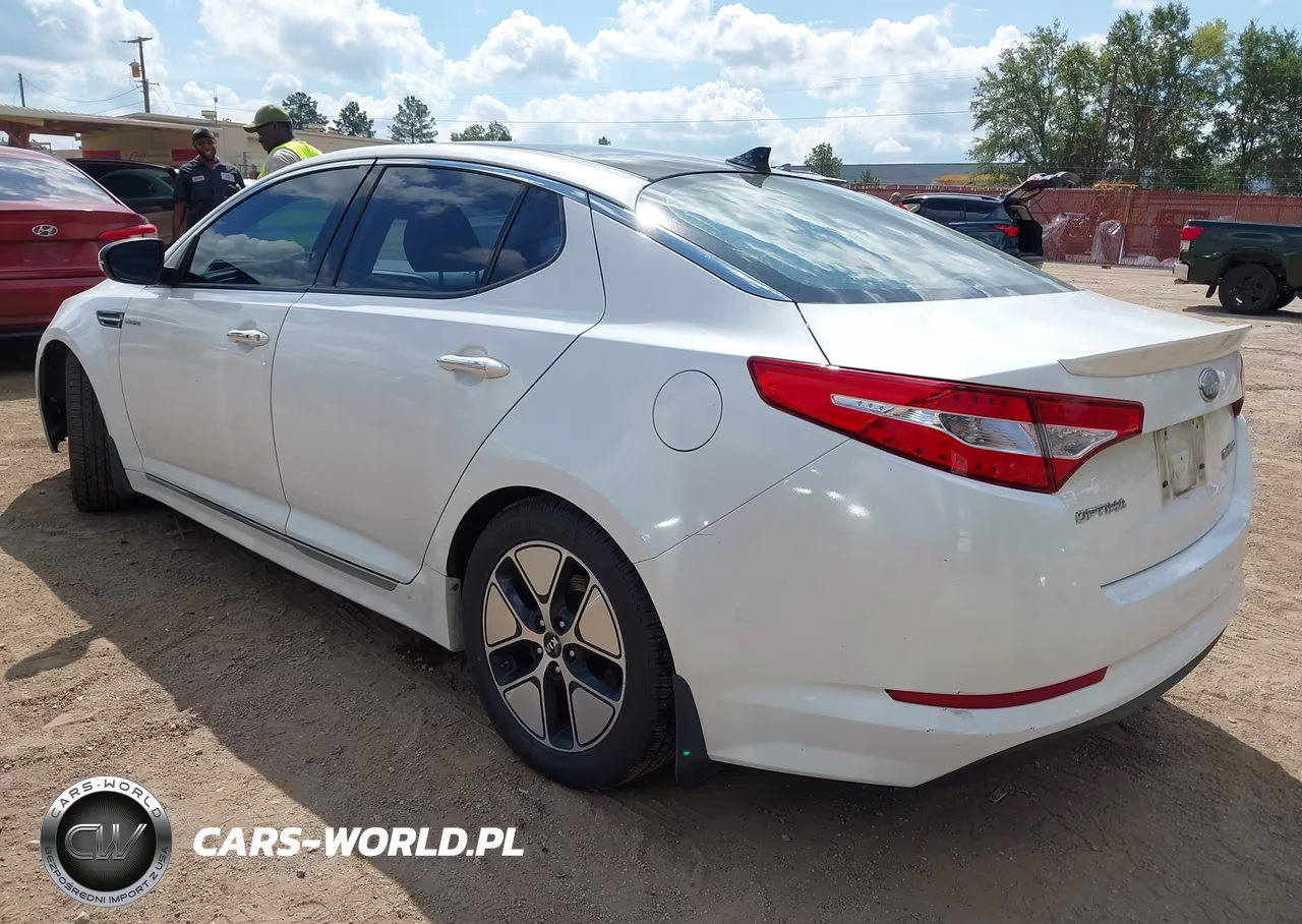 2013 Kia Optima Hybrid Ex VIN:KNAGM4AD6D5045459 - 3