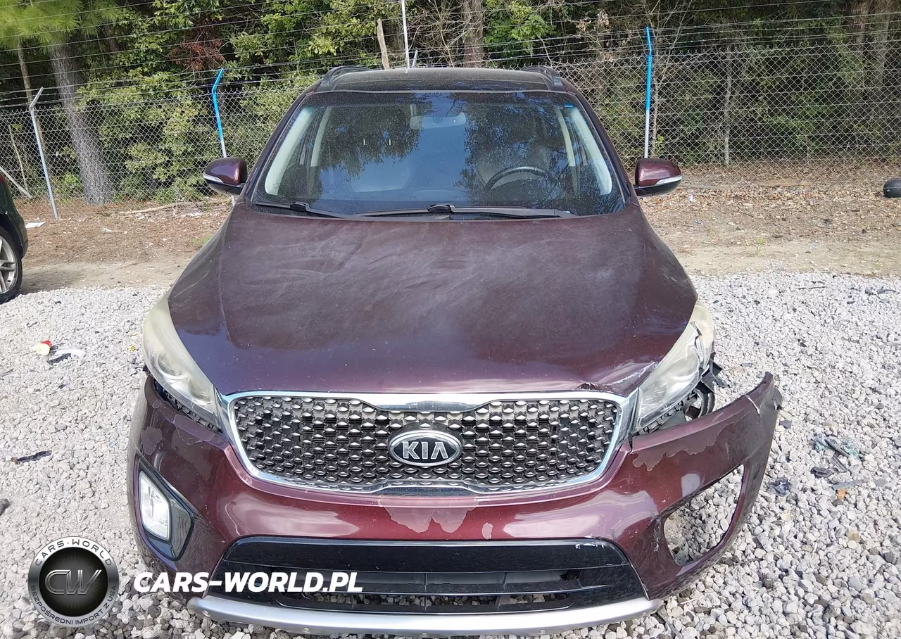 2016 Kia Sorento 3.3L Sx VIN:5XYPK4A56GG118679 - 13