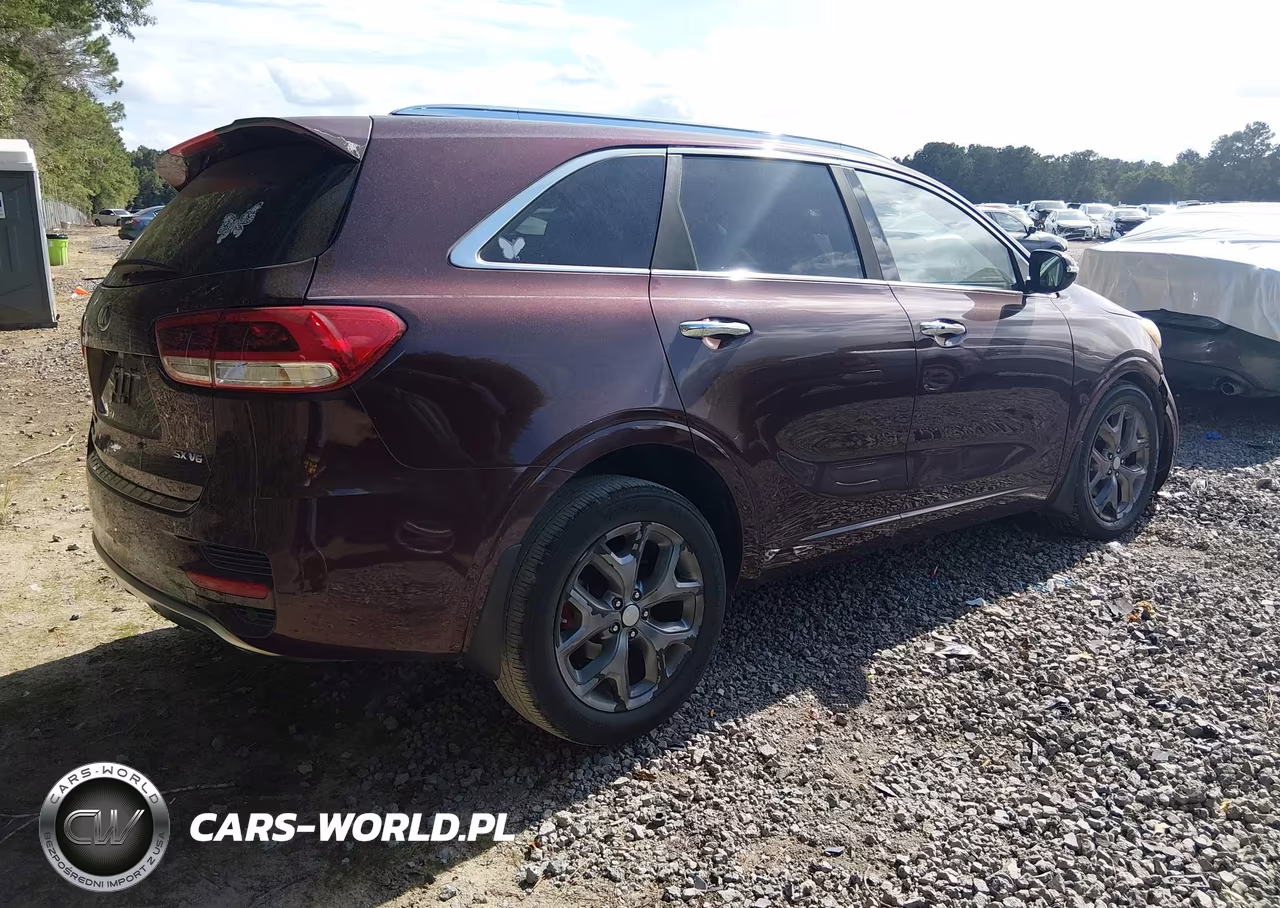 2016 Kia Sorento 3.3L Sx VIN:5XYPK4A56GG118679 - 4