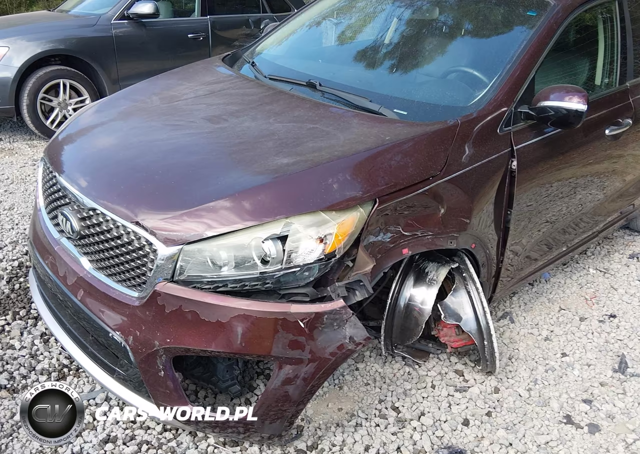 2016 Kia Sorento 3.3L Sx VIN:5XYPK4A56GG118679 - 6